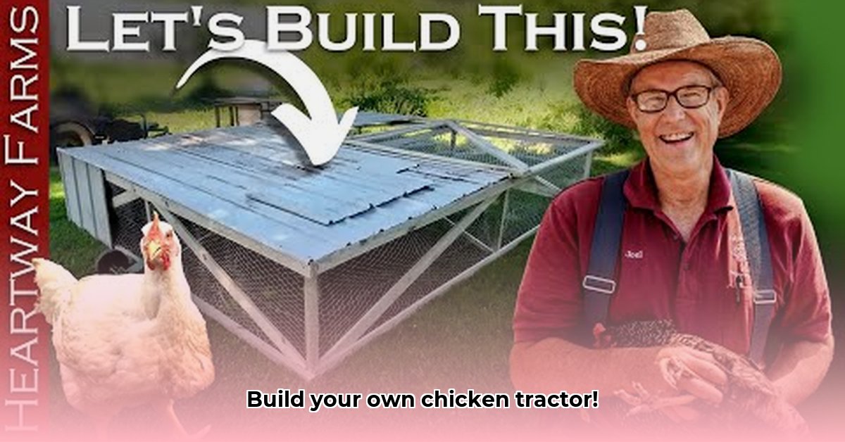 chicken-tractor-joel-salatin